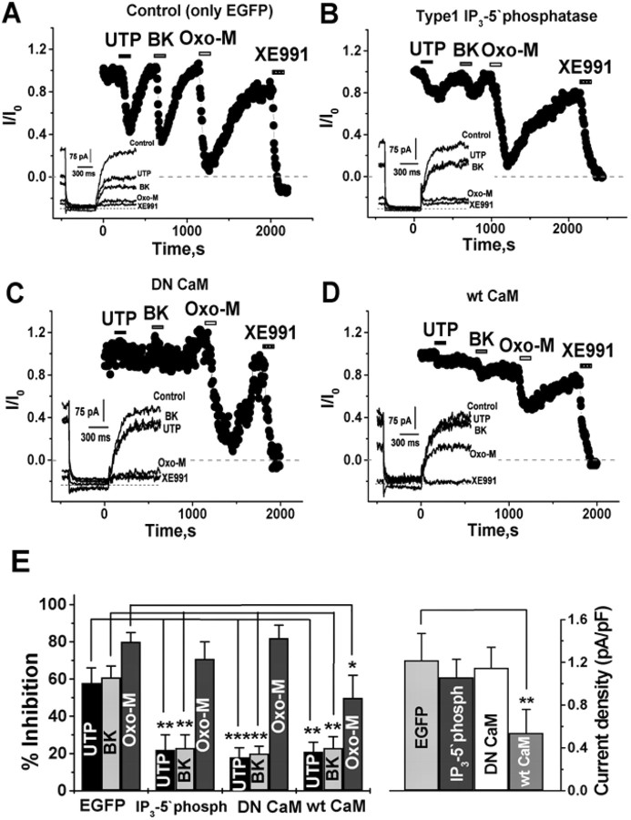 Figure 7.