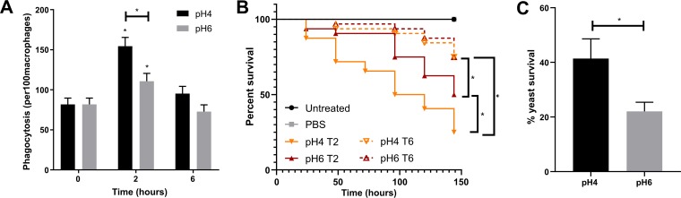 FIG 3