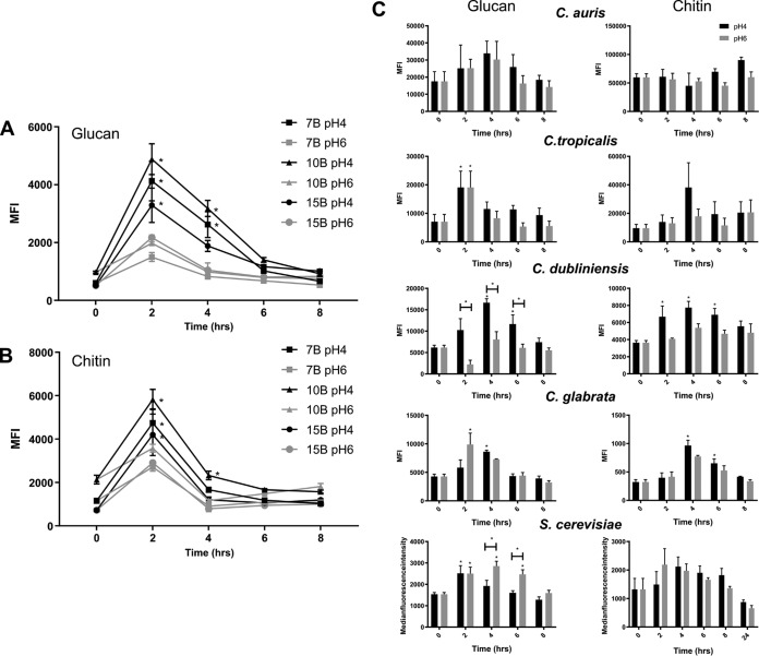 FIG 2