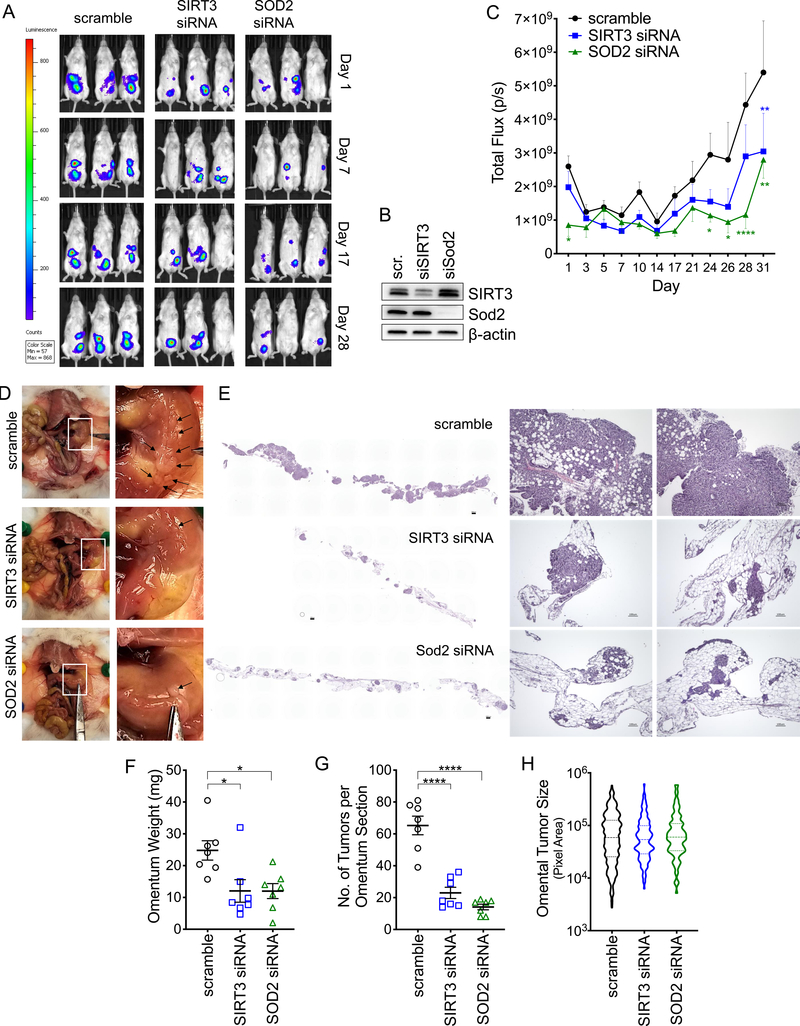 Figure 6: