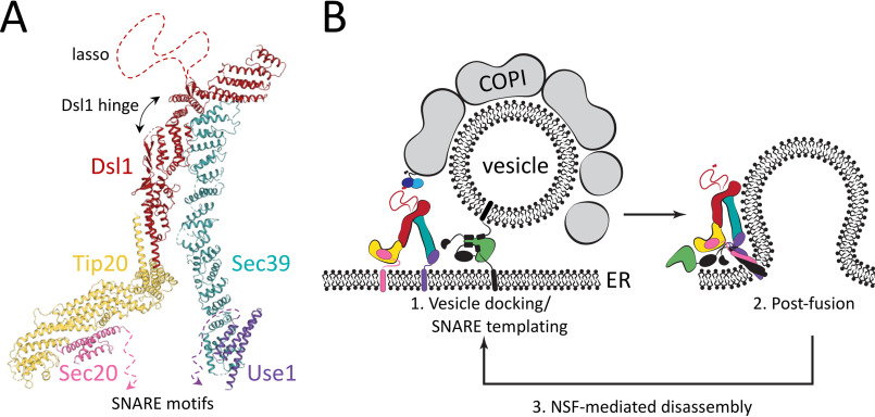 Figure 6.