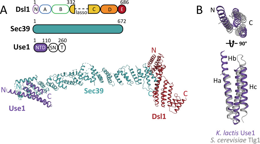 Figure 5.