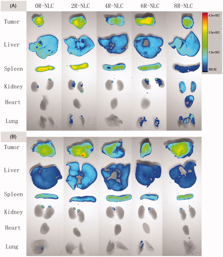 Figure 5.