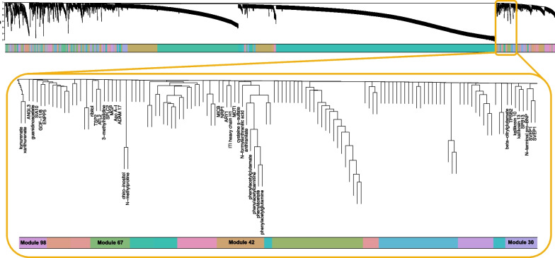 Fig. 2