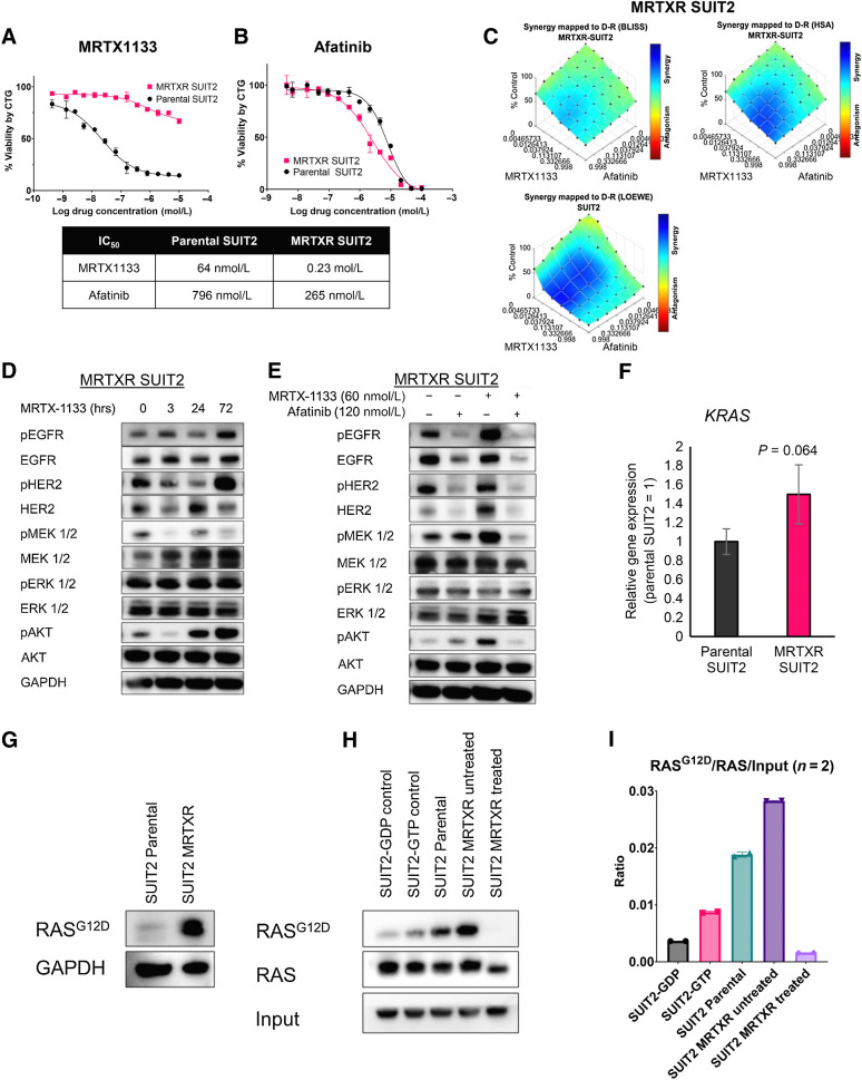 Figure 3. MRTX1133 and afatinib combination remains effective in cells that have acquired MRTX1133 resistance. A and B, Cell viability of parental and MRTXR SUIT2 lines after treatment with MRTX1133 (A) or afatinib (B). C, Evaluation of the synergistic effect of MRTX1133 with afatinib using the BLISS and HSA synergy models in MRTXR SUIT2. D and E, Immunoblot analysis for the upstream and downstream signaling of KRAS after single-agent (D) or combination therapy with MRTX1133 and afatinib (E). F, qRT-PCR analysis KRAS expression in parental and MRTXR SUIT2 cells. G, Immunoblot analysis for RASG12D in parental or MRTXR SUIT2. H, Immunoblot analysis of RASG12D and pan-RAS in parental SUIT2, untreated MRTXR SUIT2, and MRTX1133-treated MRTXR SUIT2 after RAS-GTP pulldown. I, Quantification of H. Values are quantifications from two different Western blots normalized to 0.6% GAPDH input. Data, mean values ± SD. Immunoblots are representative of at least three independent experiments.