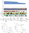 Figure 2. Genomic features of patients with RRD-HGG treated with salvage therapies (n = 38). A, Onco-plot summarizing clinical and genomic features of patients who progressed on anti–PD-1 monotherapy and continued ICI treatment. B, Impact of TMB on survival. C, Impact of genomic MSI as measured by the tumor MMRDness score on survival (Methods).