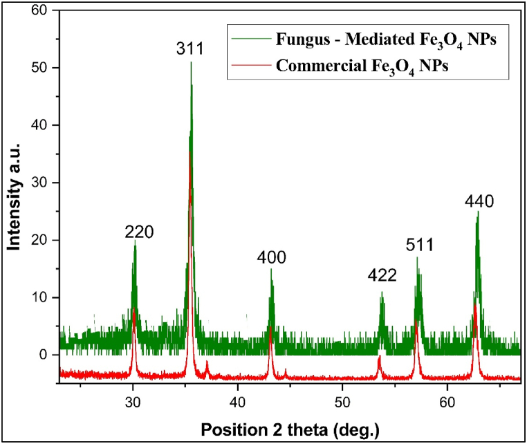 Fig. 4