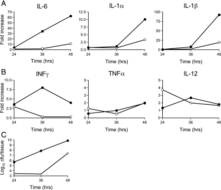 FIG. 4.