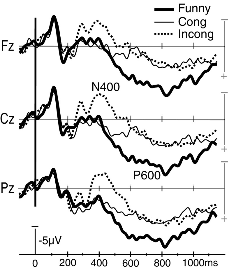 Fig. 5