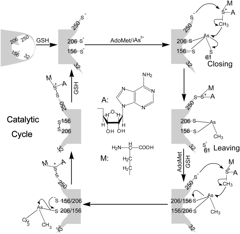 Figure 9