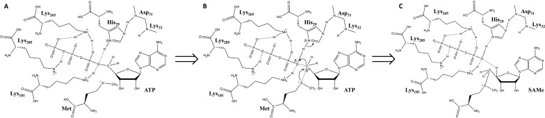 Fig. S1.