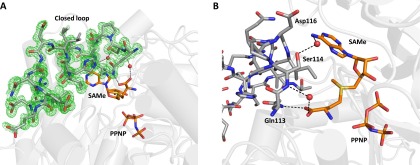 Fig. S3.