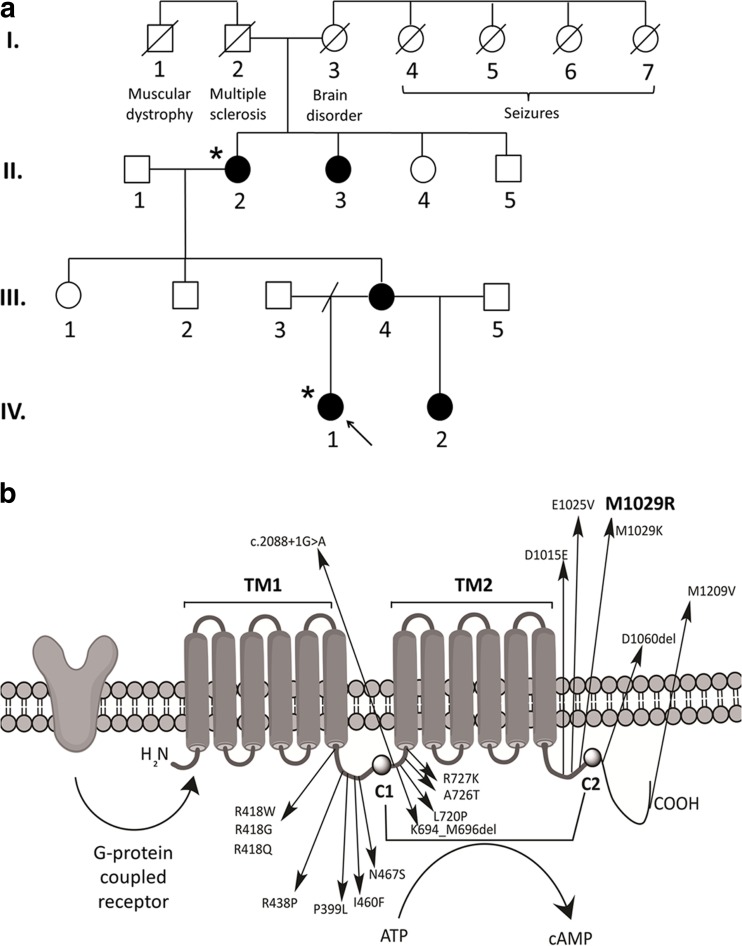 Fig. 1