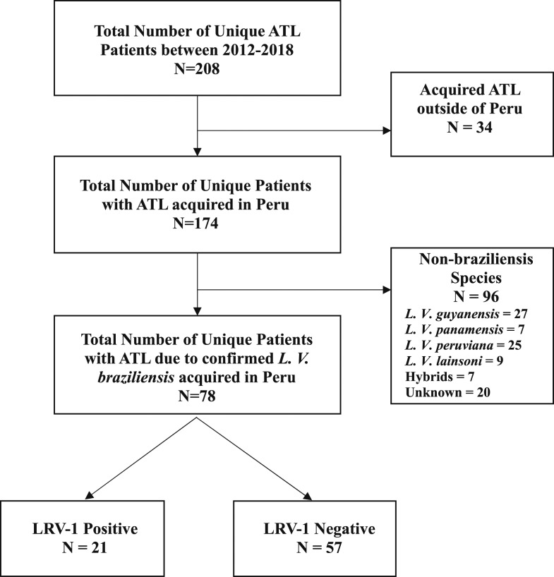 Figure 1.