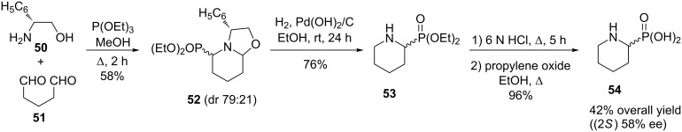 Scheme 13