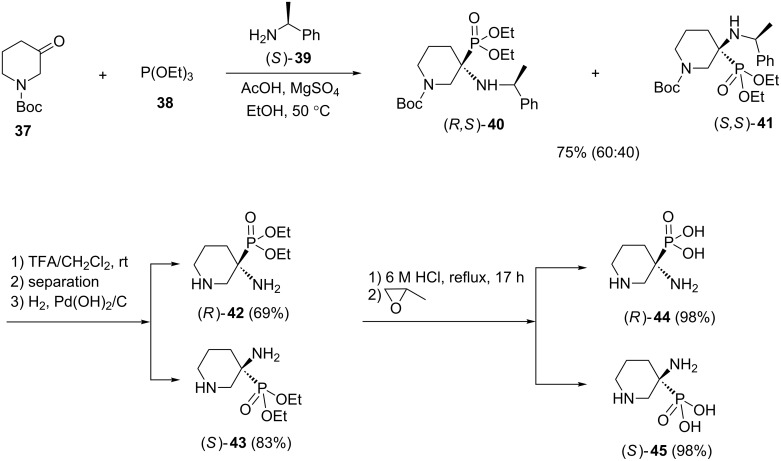 Scheme 11