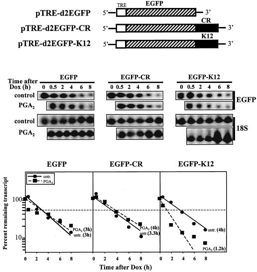 FIG. 9