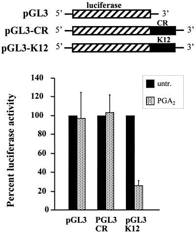 FIG. 8