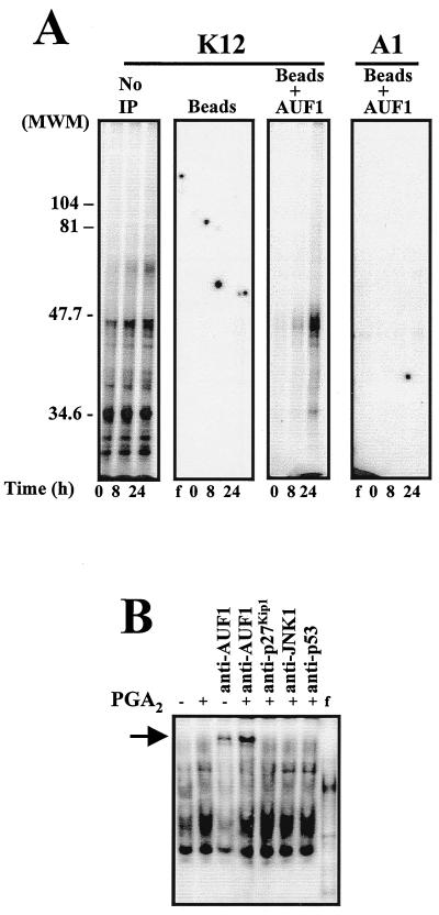 FIG. 6