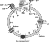FIG. 6.