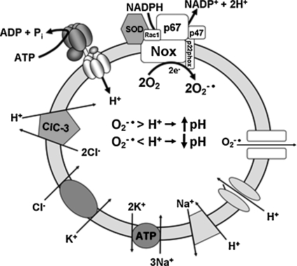 FIG. 5.