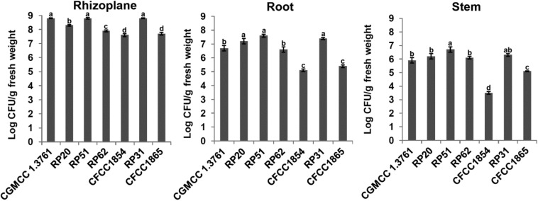 FIGURE 5