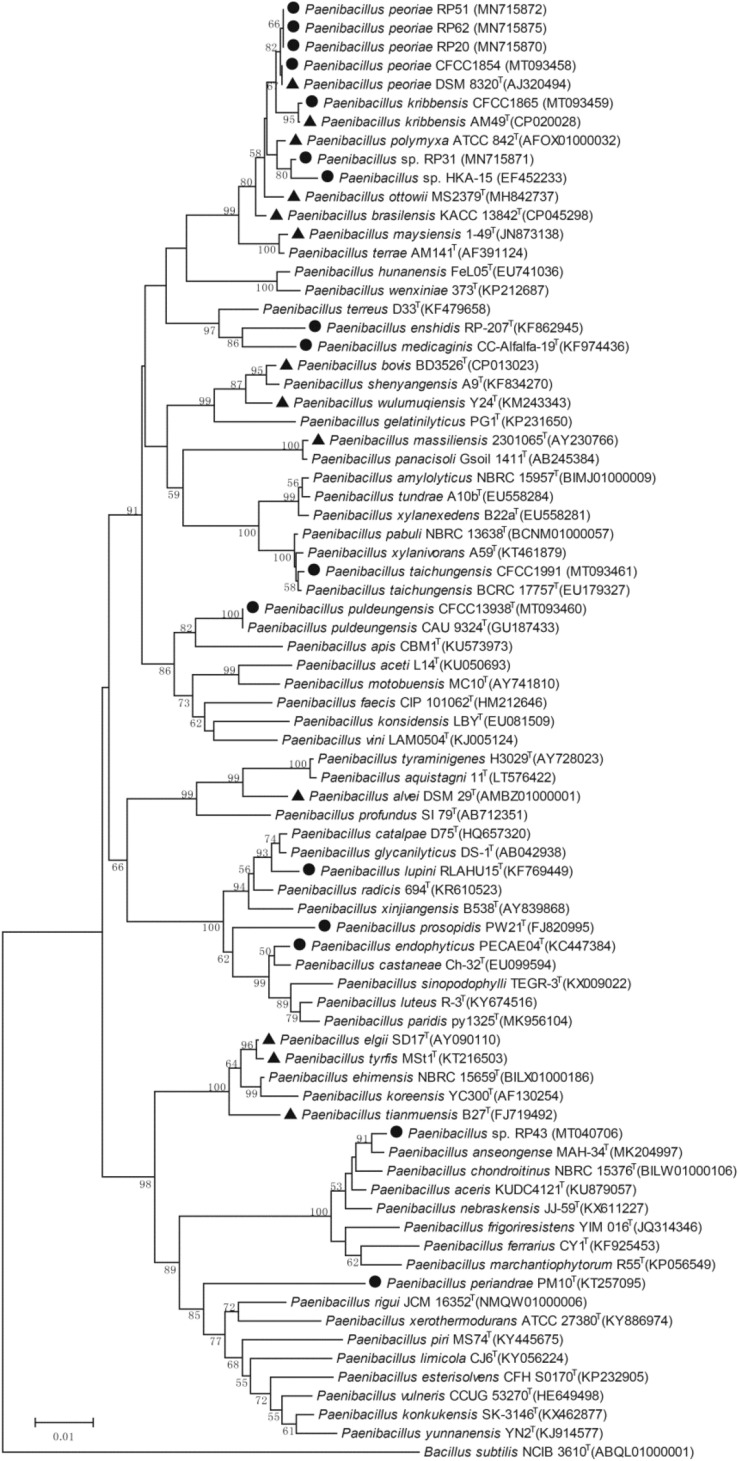 FIGURE 1