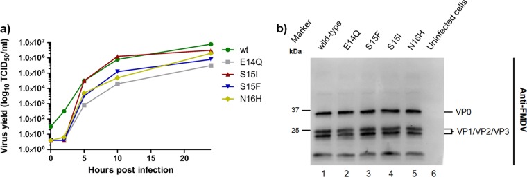 FIG 3