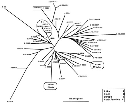 FIG. 1