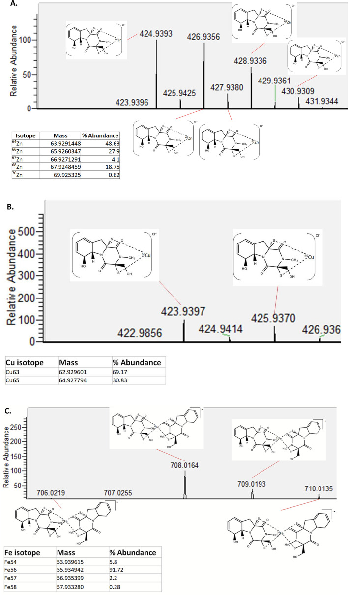 Figure 6