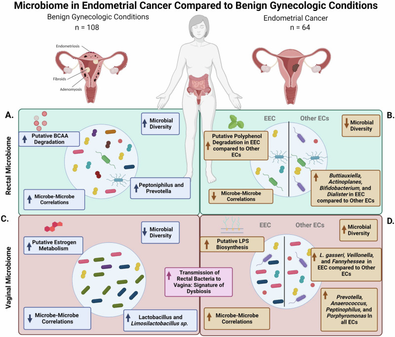 Navigating complexities of polymorphic microbiomes in endometrial ...