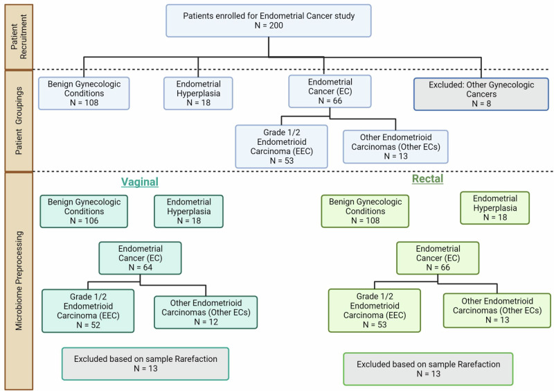Navigating complexities of polymorphic microbiomes in endometrial ...