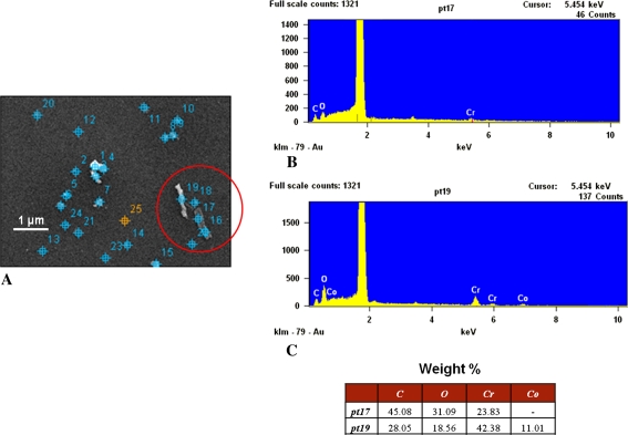 Fig. 11A–C