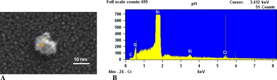 Fig. 4A–B