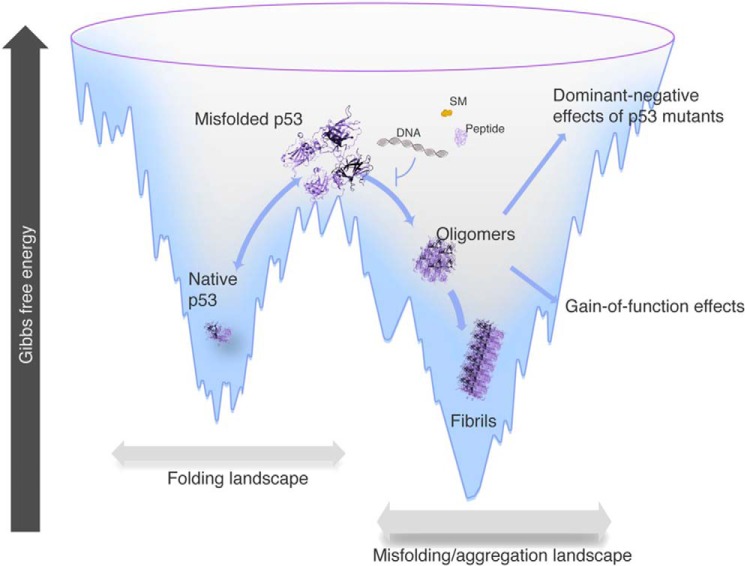 FIGURE 3.