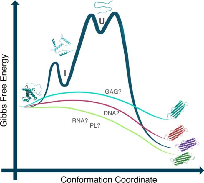 FIGURE 1.