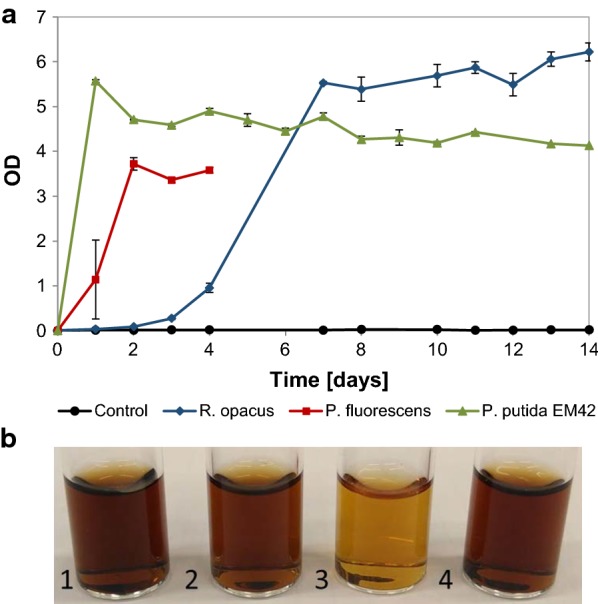 Fig. 3