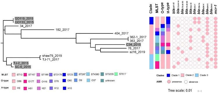 Figure 2.