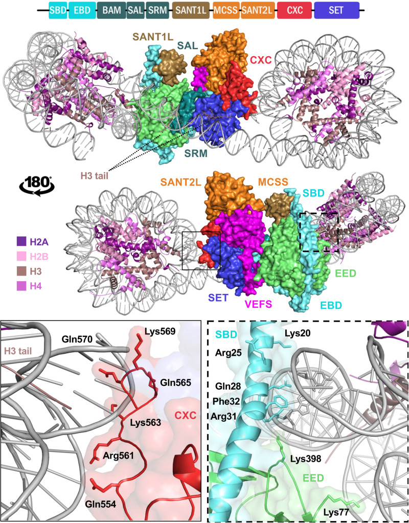 FIGURE 3