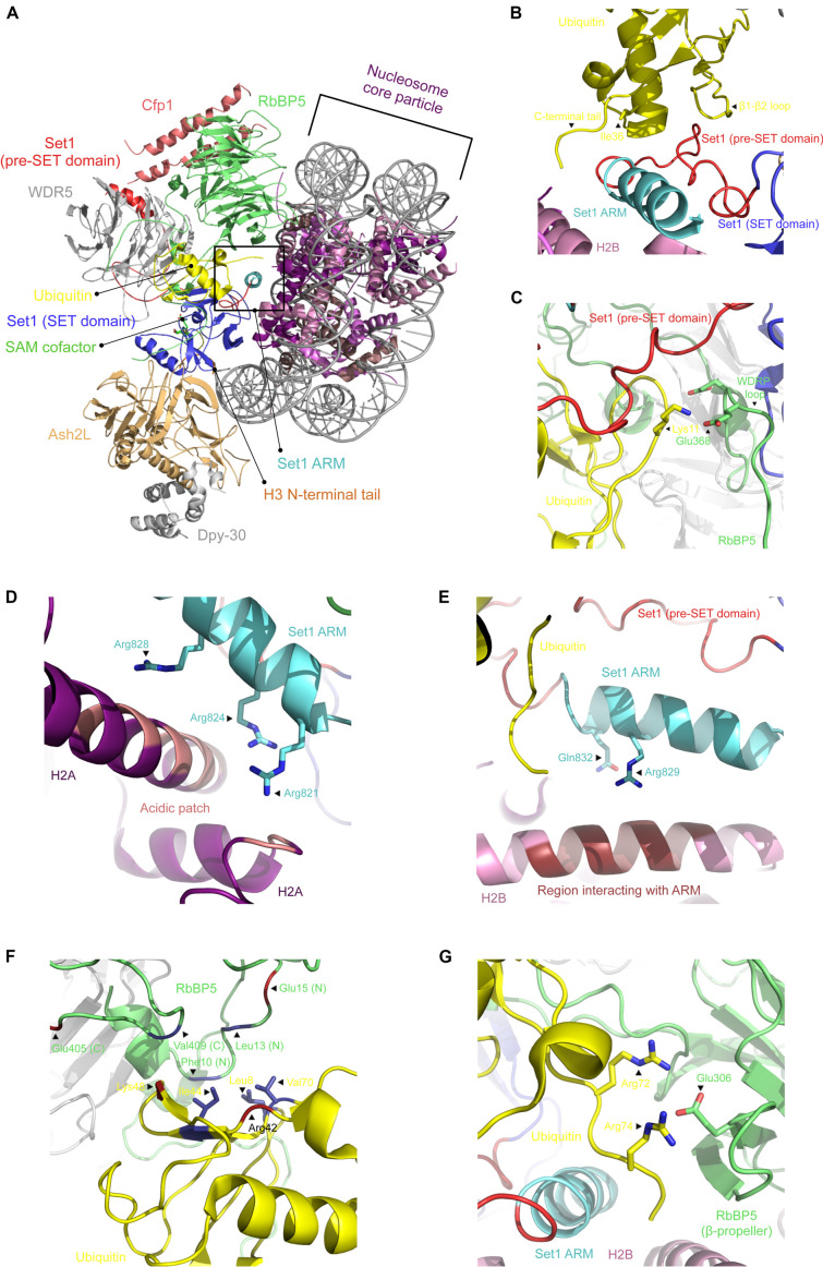 FIGURE 2