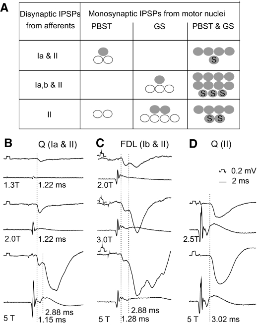 Fig. 9.