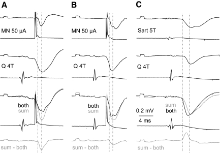 Fig. 8.