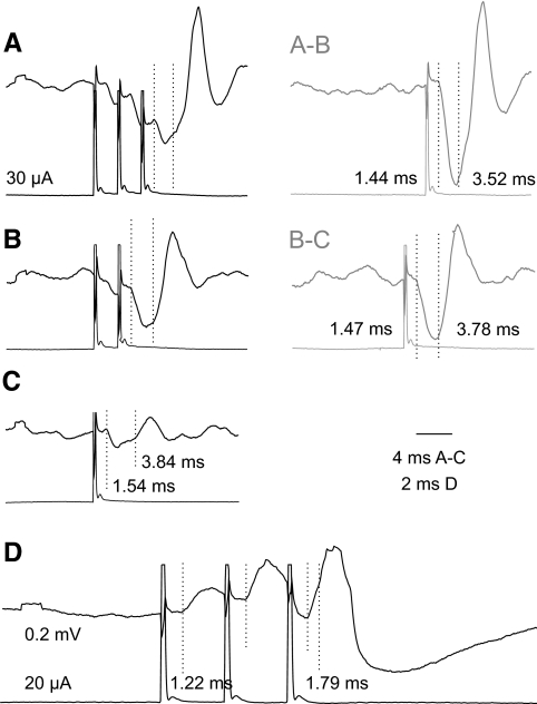 Fig. 10.