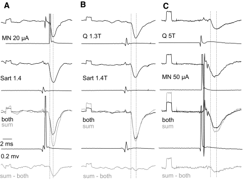 Fig. 7.