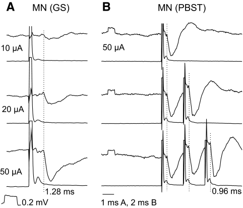 Fig. 5.