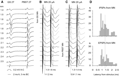 Fig. 4.