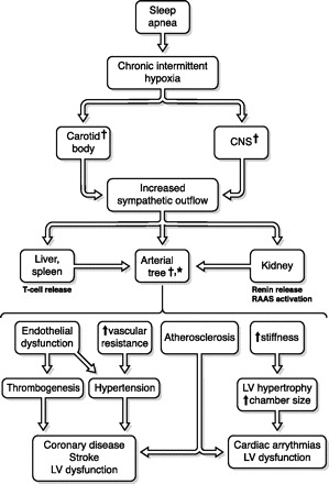 Fig. 15.