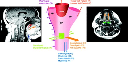 Fig. 10.