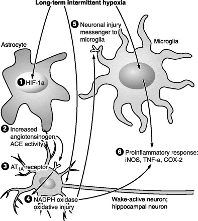 Fig. 18.