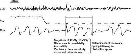 Fig. 8.